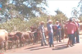 encontro de carros de bois em monte belo mg