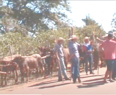 encontro de carros de bois em monte belo mg